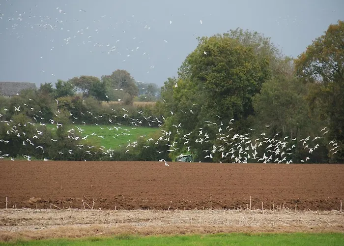 Bed & Breakfast D'hotes De Letanville 3*