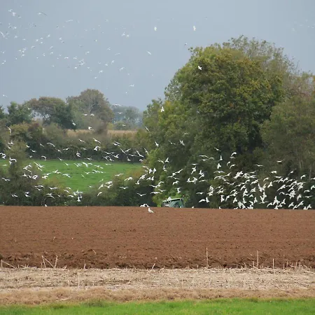 فندق مبيت وإفطار D'hotes De Letanville 3*